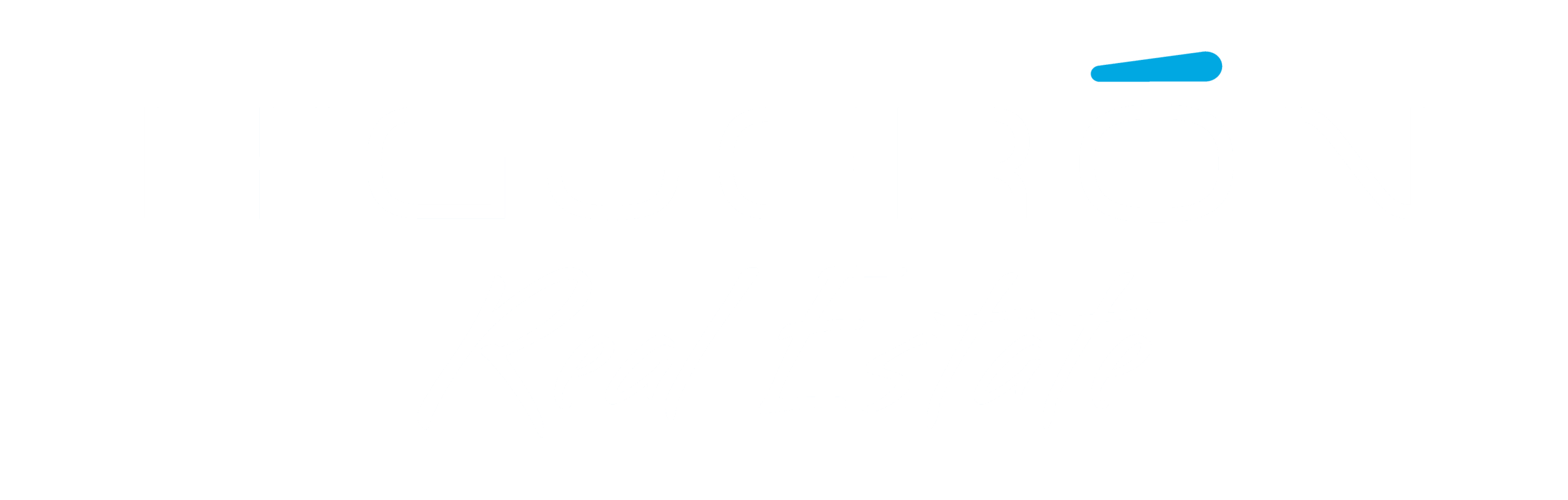 Logo Higuerón Resort